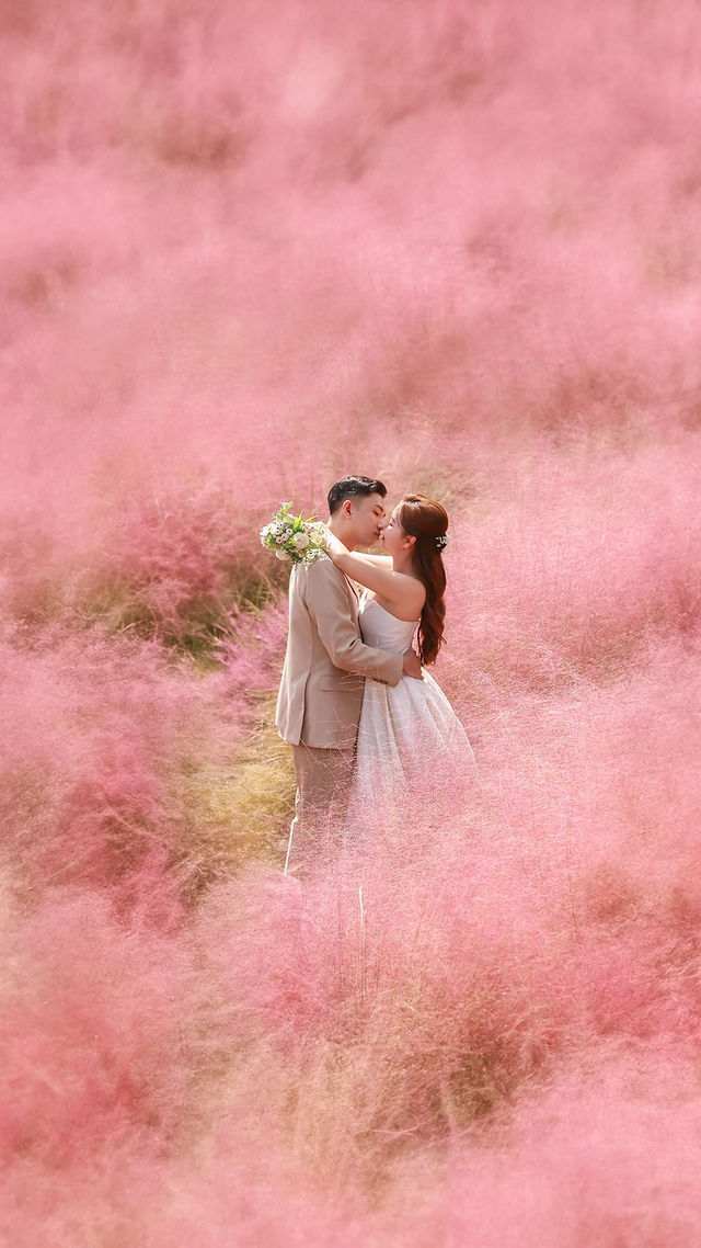 Pink Muhly