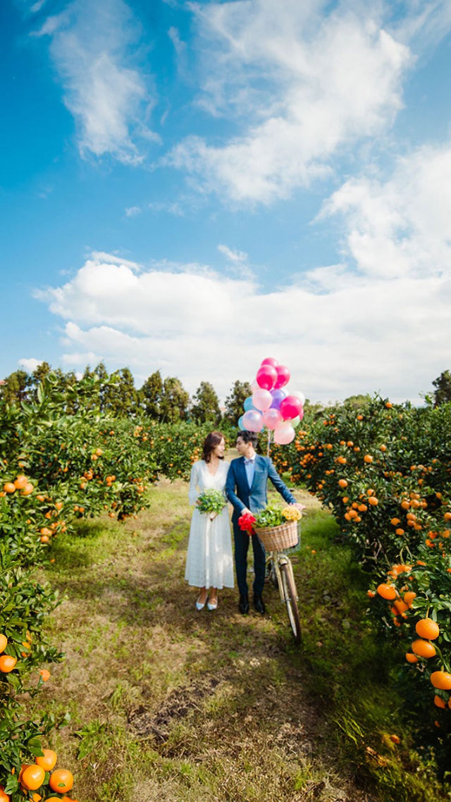Tangerine Picking