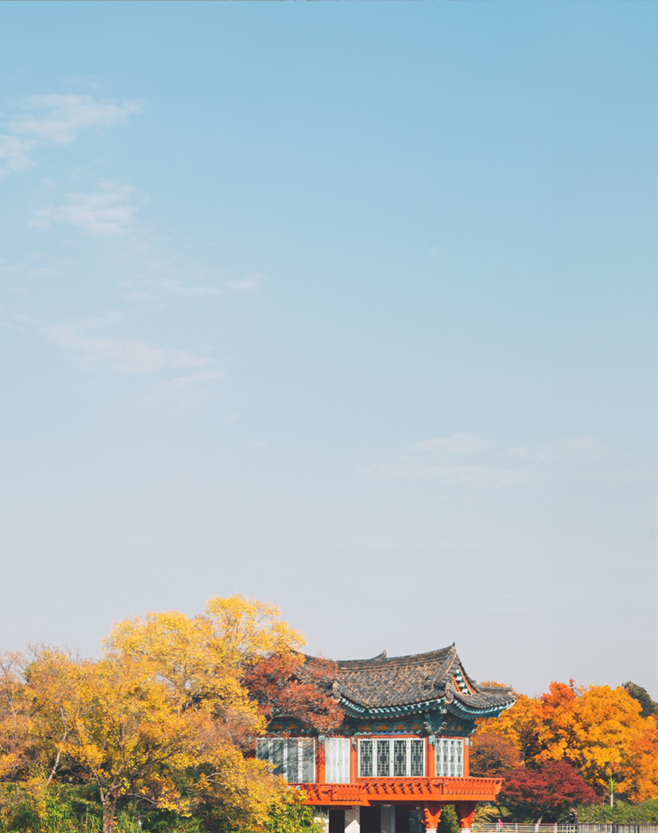 2026 Korea Maple Leaves Pre-Wedding Photoshoot Promotion