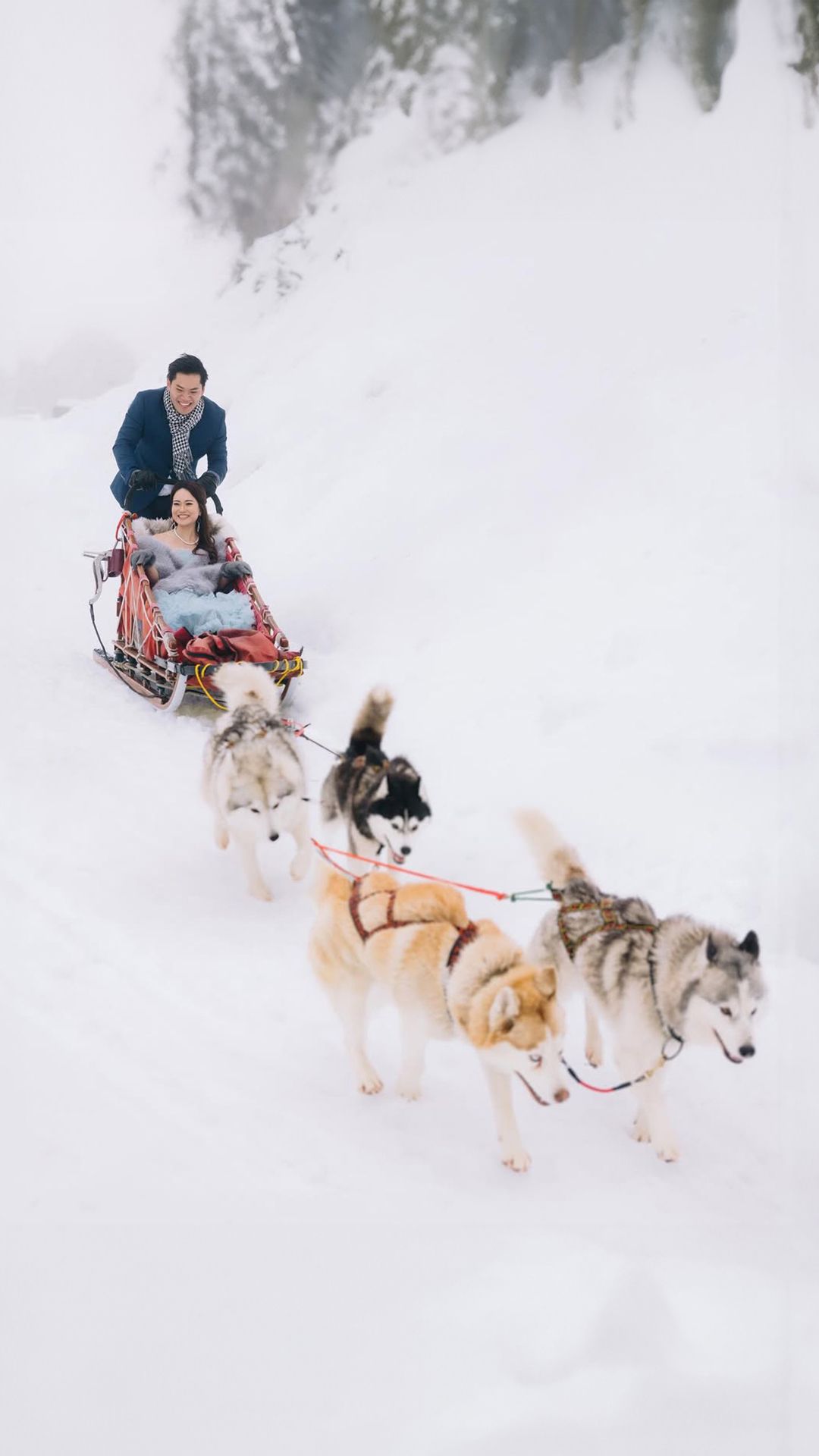 Husky Sledding