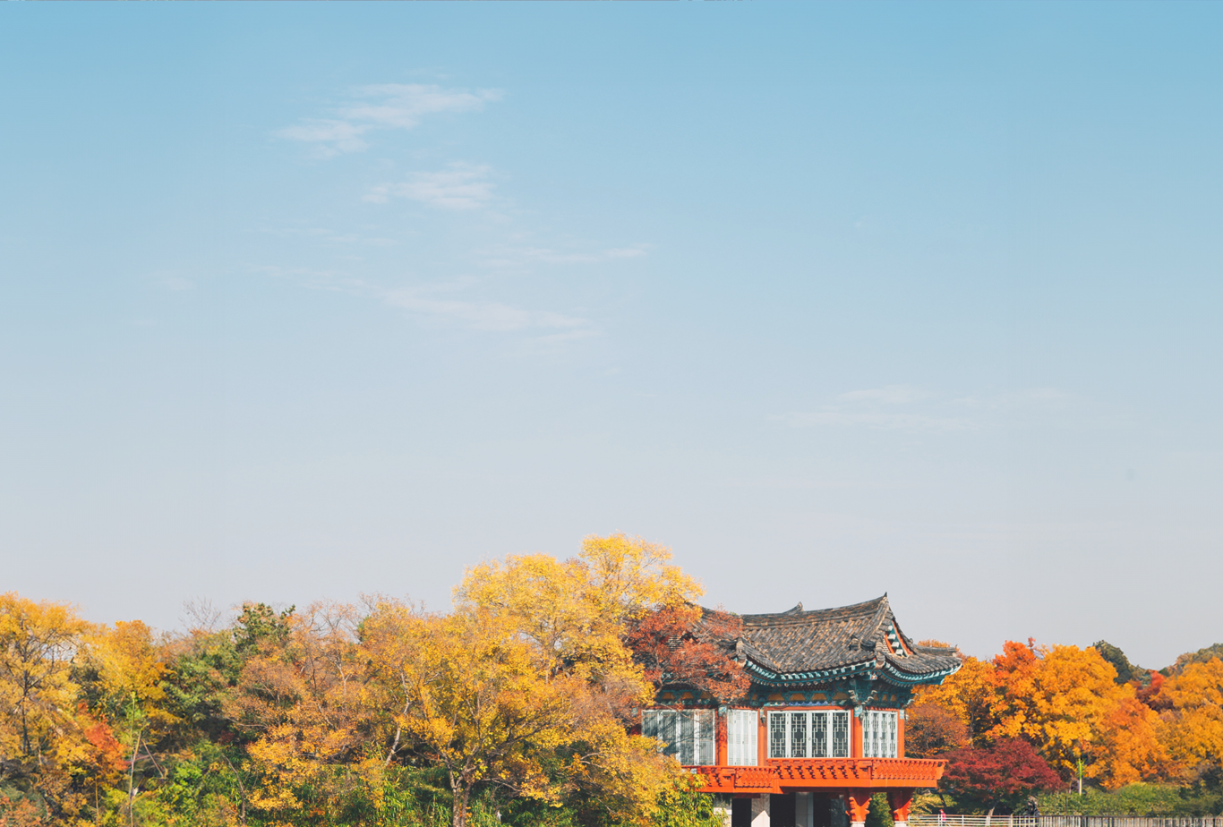2026 Korea Maple Leaves Pre-Wedding Photoshoot Promotion